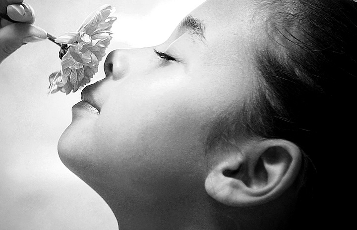 ddos攻击测试工具